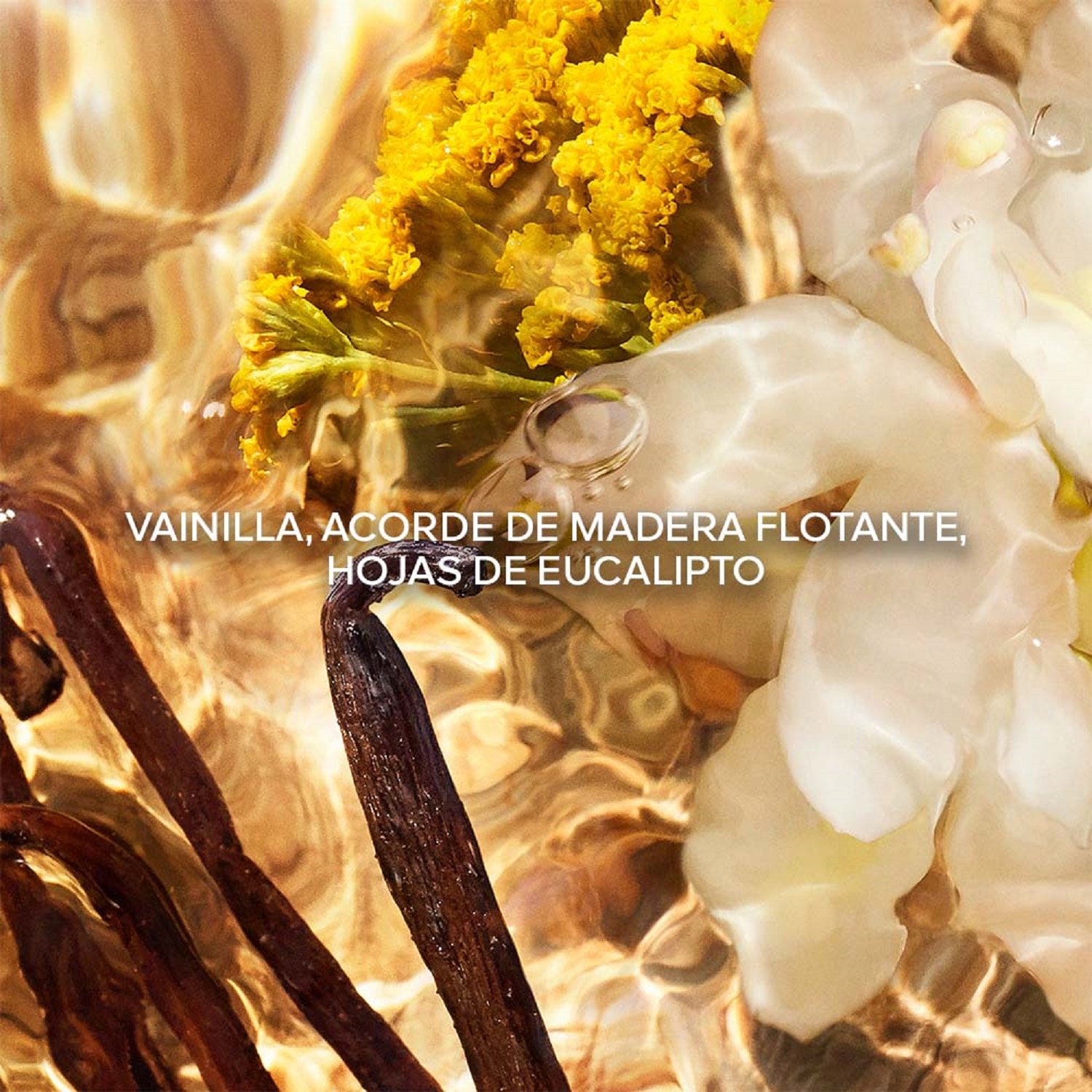 AQUA ALLEGORIA FORTE BOSCA VANILLA EAU DE PARFUM